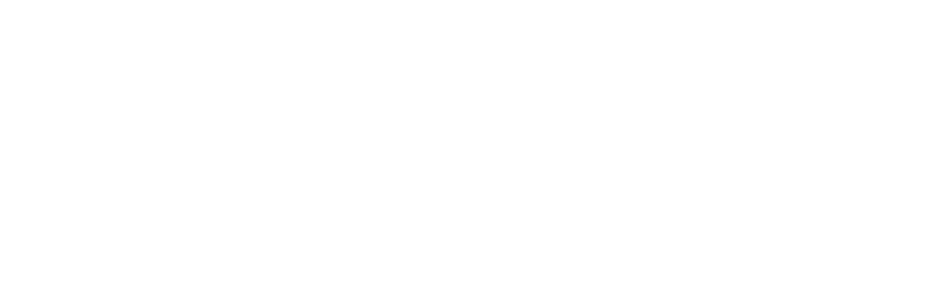 digiplogowhite